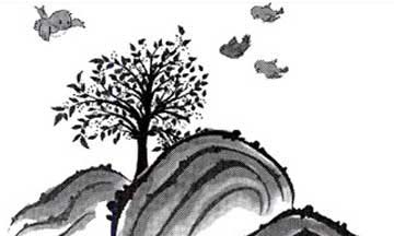 红樱桃 红樱桃