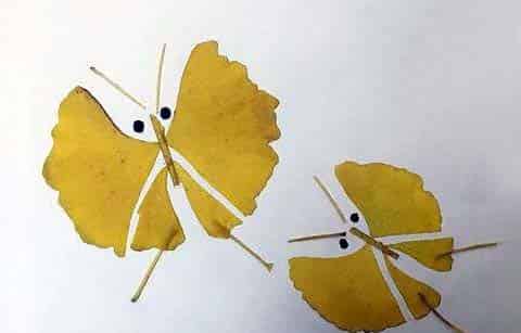 小兔子姗姗的生日礼物