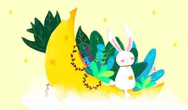 顽皮的月亮小兔 顽皮的月亮小兔