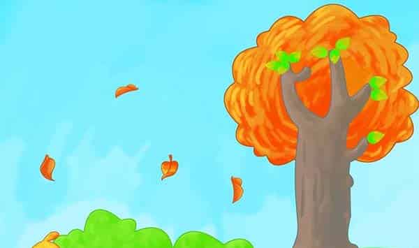 一片树叶落下来 一片树叶落下来