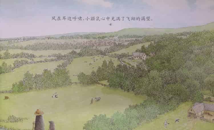 鼹鼠与小鸟 鼹鼠与小鸟