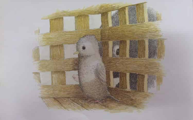 鼹鼠与小鸟 鼹鼠与小鸟