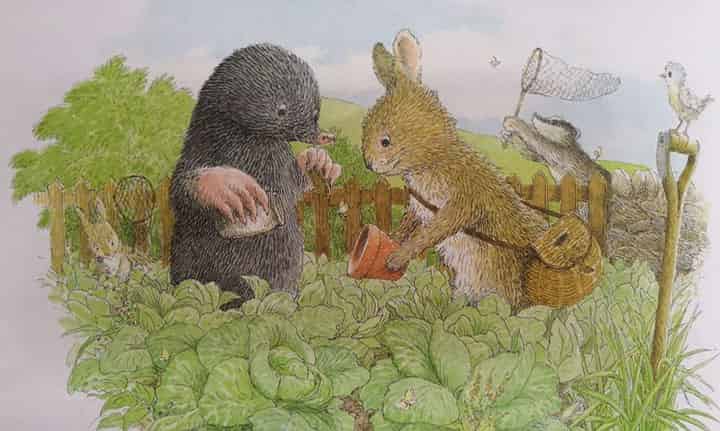 鼹鼠与小鸟 鼹鼠与小鸟