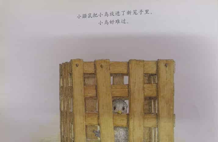 鼹鼠与小鸟 鼹鼠与小鸟