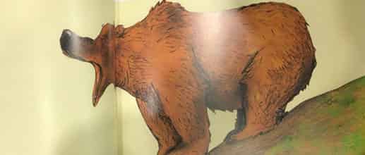 一只想当爸爸的熊 一只想当爸爸的熊