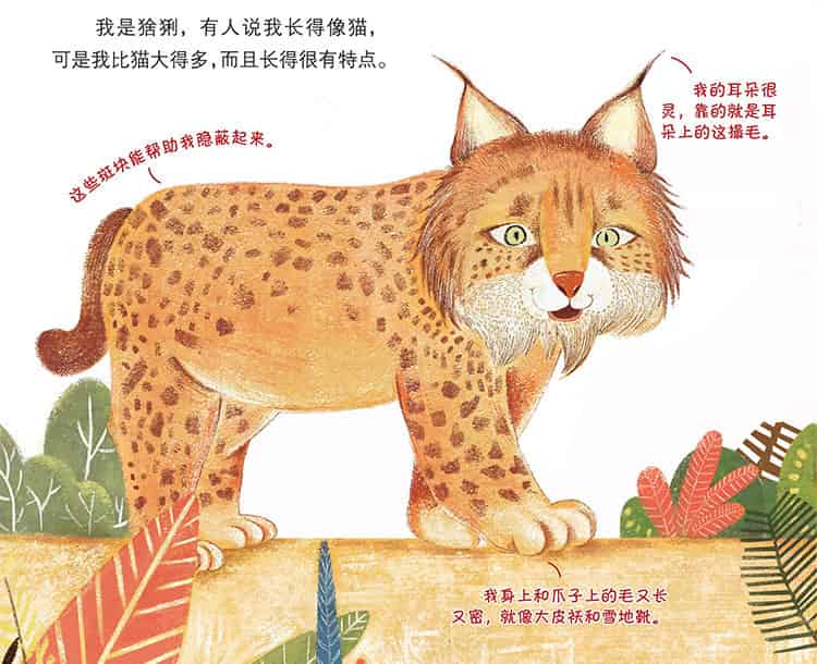 长得像猫的大家伙