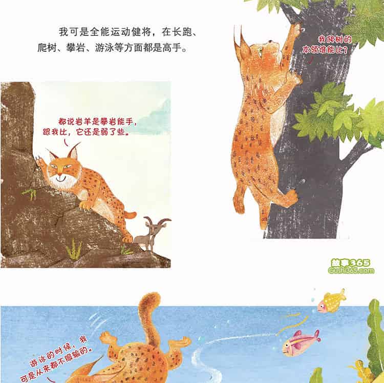 长得像猫的大家伙