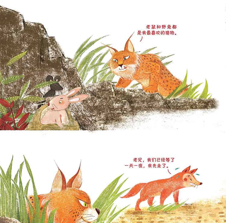 长得像猫的大家伙
