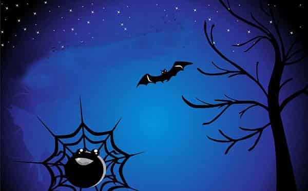 小蜘蛛和小星星