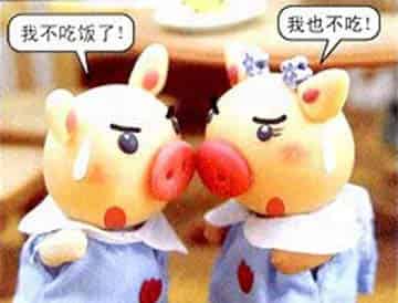 猪小弟猪小妹比节约