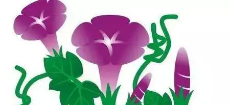 牵牛花奶奶(棕熊奶奶的牵牛花) 牵牛花奶奶(棕熊奶奶的牵牛花)