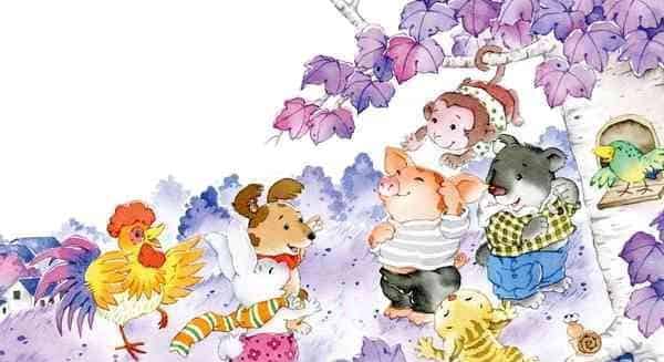 长在头上的西红柿