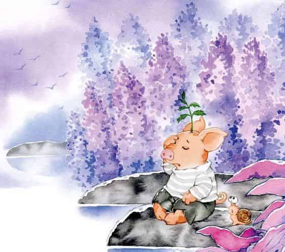 长在头上的西红柿